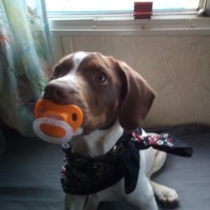 Meet your Posher, Sheila